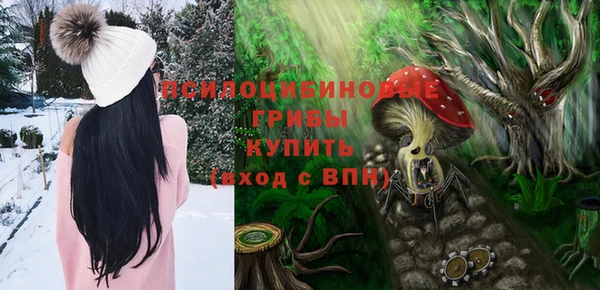 синтетический гашиш Алексин