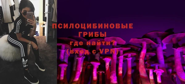 синтетический гашиш Алексин