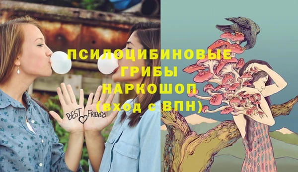 spice Алексеевка