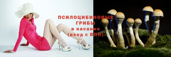 spice Алексеевка