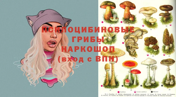 а пвп мука Болхов